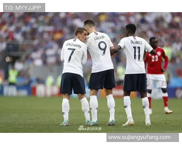 法国与丹麦比赛技术统计分析全面解读