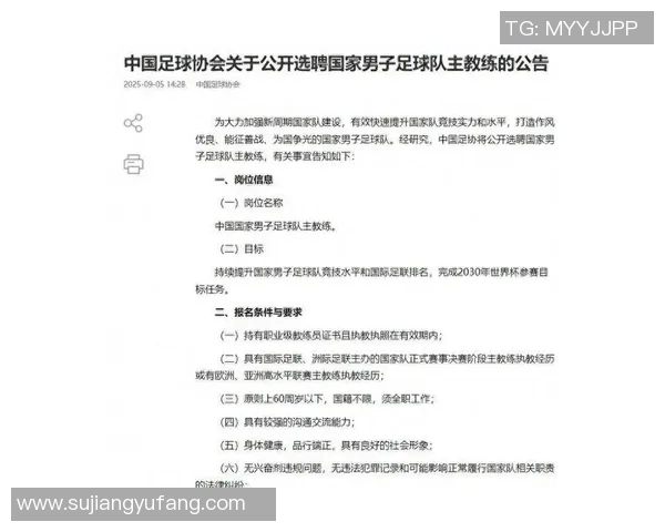 中国足球队主教练年薪揭秘及其对球队发展的影响分析